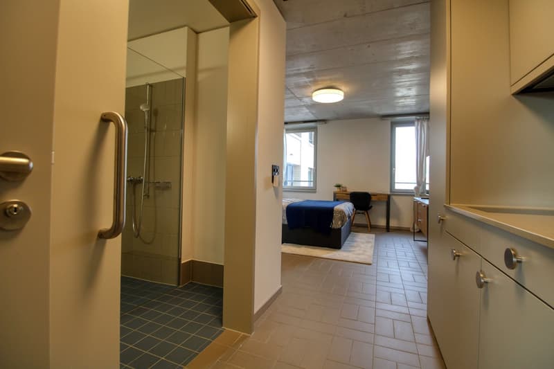 Modernes Coliving im lebhaften Schlieren (3)