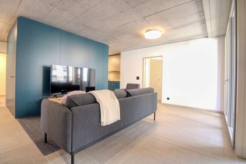 Modernes Coliving im lebhaften Schlieren (25)