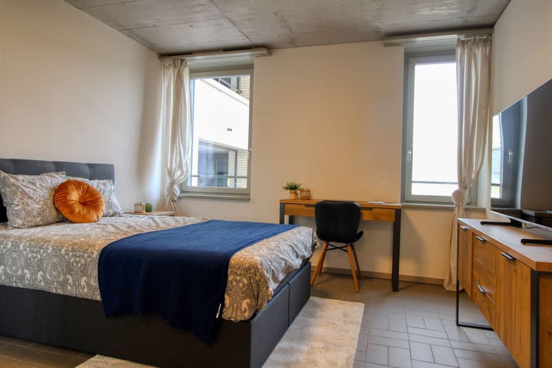 Modernes Coliving im lebhaften Schlieren (1)
