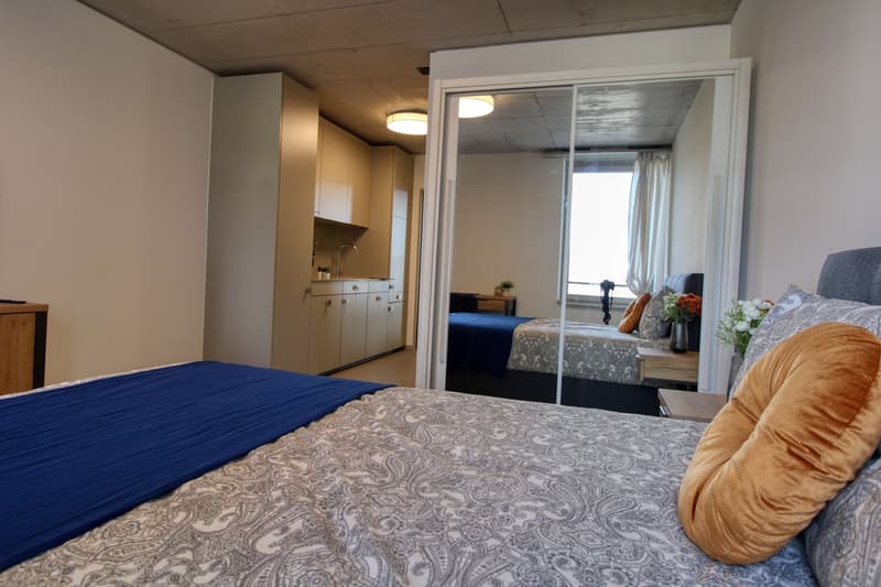 Modernes Coliving im lebhaften Schlieren (6)