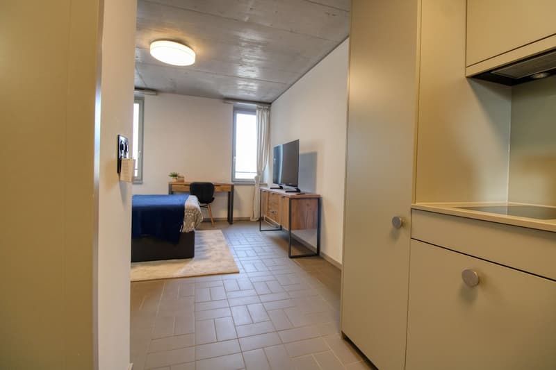 Modernes Coliving im lebhaften Schlieren (5)
