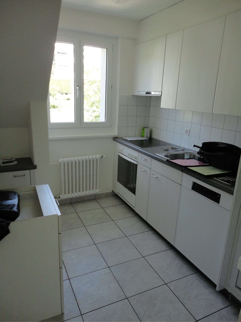 Gemütliches Einzelzimmer in einer Wohngemeinschaft – Zürich Höngg (8049) (3)