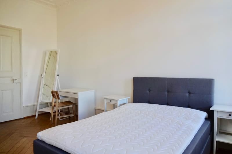Stilvoll möbliertes WG-Zimmer in Basel (2)