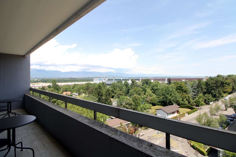 Grosszügiges Coliving mit internationalem Flair in Le Grand-Saconnex (5)