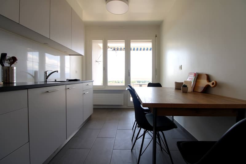 Grosszügiges Coliving mit internationalem Flair in Le Grand-Saconnex (13)