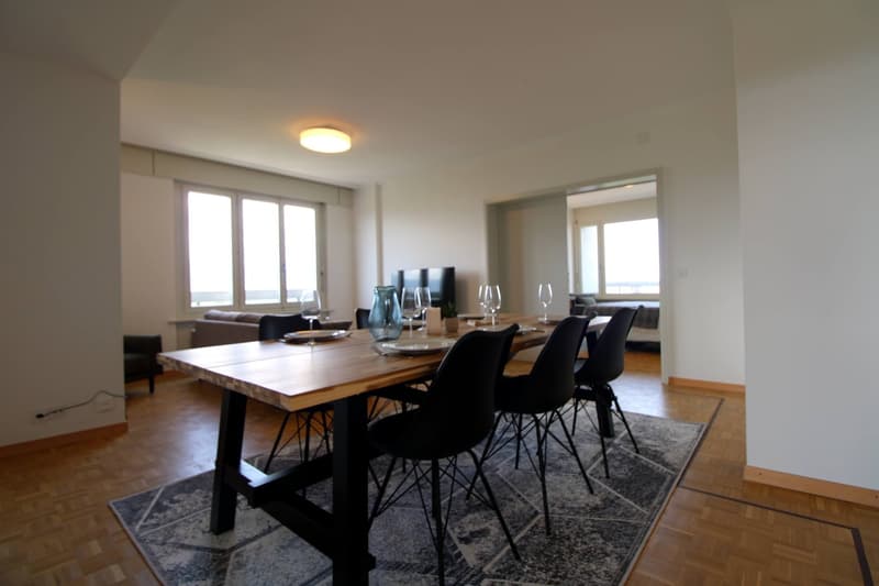 Grosszügiges Coliving mit internationalem Flair in Le Grand-Saconnex (19)