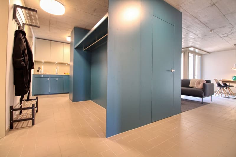 Modernes Studio mit Balkon in Schlieren – sofort verfügbar! (29)