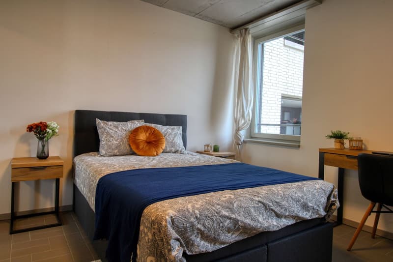 Modernes Studio mit Balkon in Schlieren – sofort verfügbar! (2)