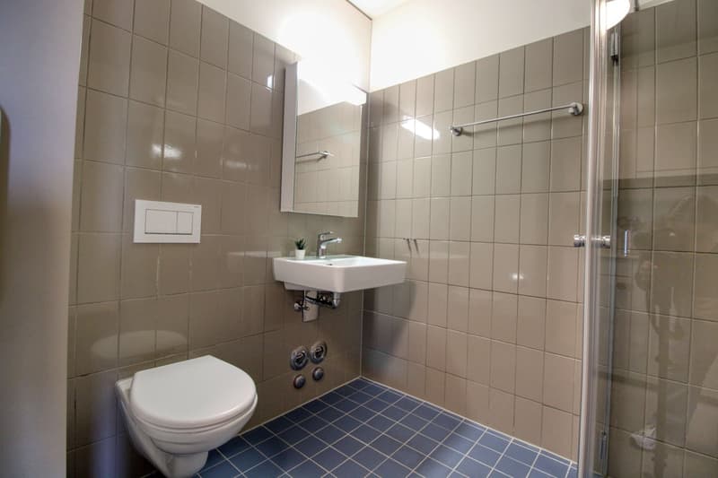 Modernes Studio mit Balkon in Schlieren – sofort verfügbar! (10)
