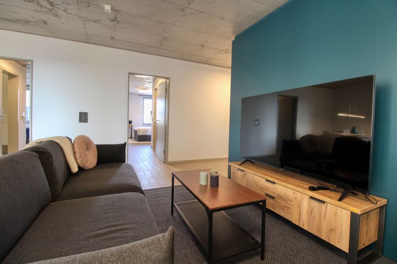 Modernes Studio mit Balkon in Schlieren – sofort verfügbar! (20)