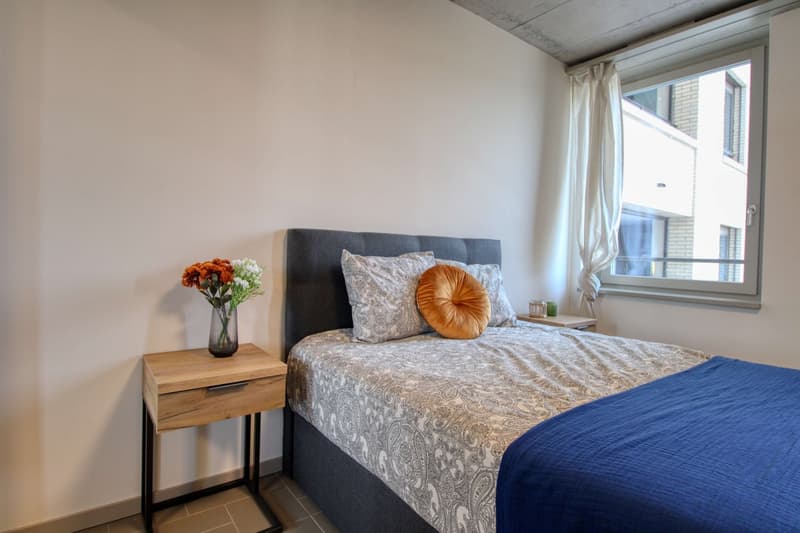 Modernes Studio mit Balkon in Schlieren – sofort verfügbar! (7)