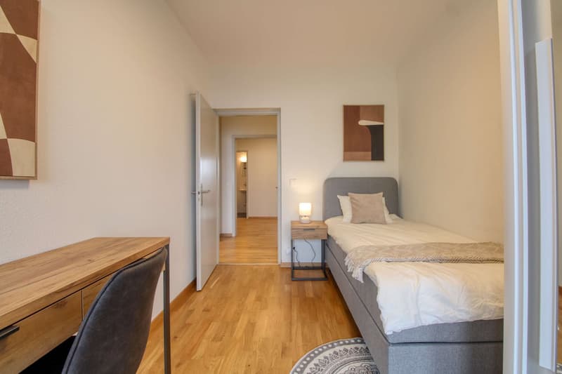 Coliving Spacieux et Confortable à Le Grand-Saconnex (16)