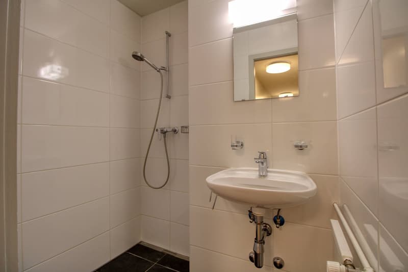 Coliving Spacieux et Confortable à Le Grand-Saconnex (14)