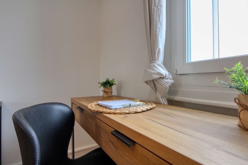 Coliving charmant dans la paisible Avenue de Béthusy à Lausanne (6)