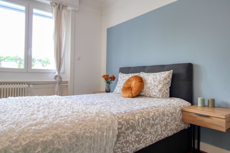 Coliving charmant dans la paisible Avenue de Béthusy à Lausanne (19)