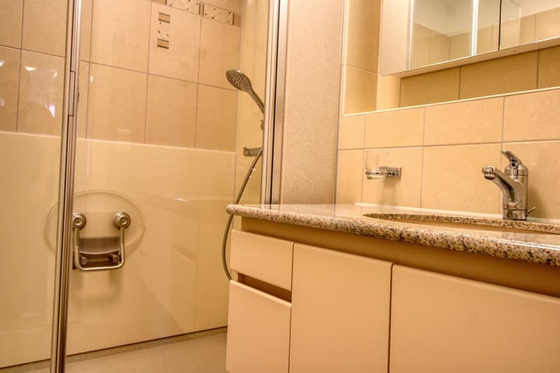 Urbanes Coliving mit Charme und Gemeinschaft in Höngg (11)