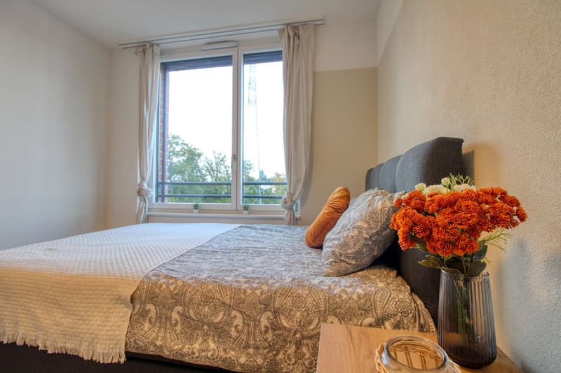 Bright & Cozy Single Room in a Flat Share – Crissier (6)