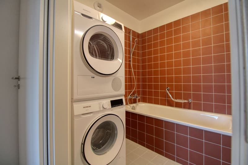 Bright & Cozy Single Room in a Flat Share – Crissier (21)