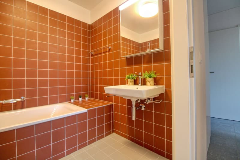 Bright & Cozy Single Room in a Flat Share – Crissier (22)