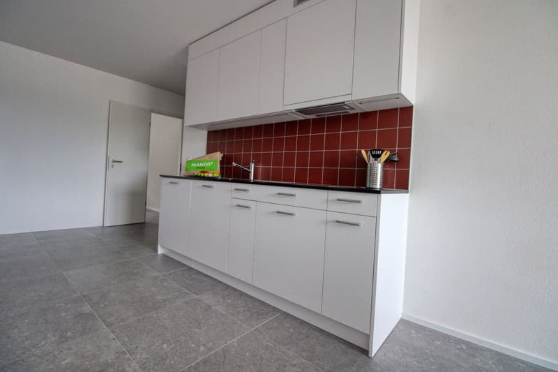 Bright & Cozy Single Room in a Flat Share – Crissier (18)