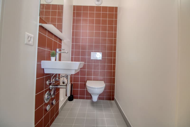 Bright & Cozy Single Room in a Flat Share – Crissier (23)