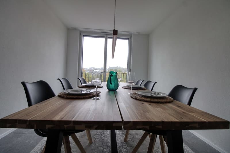 Bright & Cozy Single Room in a Flat Share – Crissier (14)