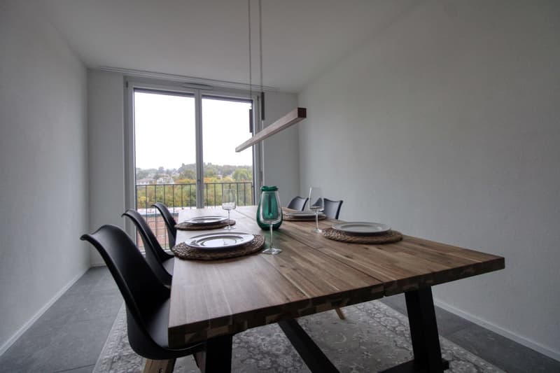 Bright & Cozy Single Room in a Flat Share – Crissier (15)