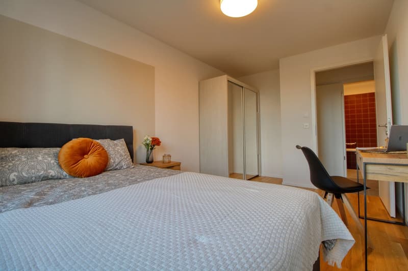 Bright & Cozy Single Room in a Flat Share – Crissier (5)
