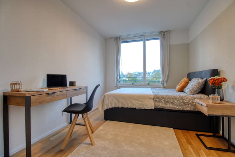 Bright & Cozy Single Room in a Flat Share – Crissier (1)