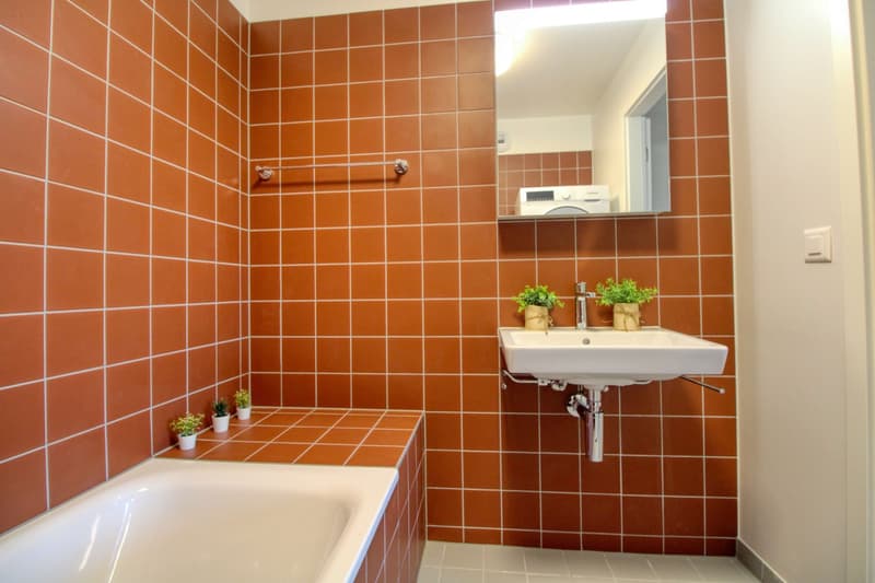Bright & Cozy Single Room in a Flat Share – Crissier (20)