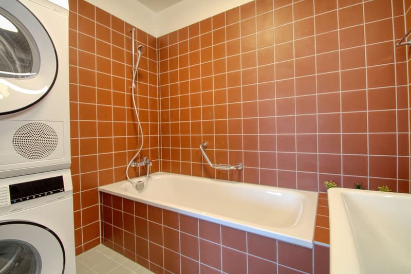 Bright & Cozy Single Room in a Flat Share – Crissier (19)