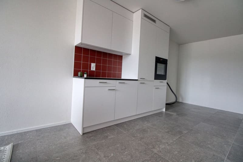 Bright & Cozy Single Room in a Flat Share – Crissier (17)