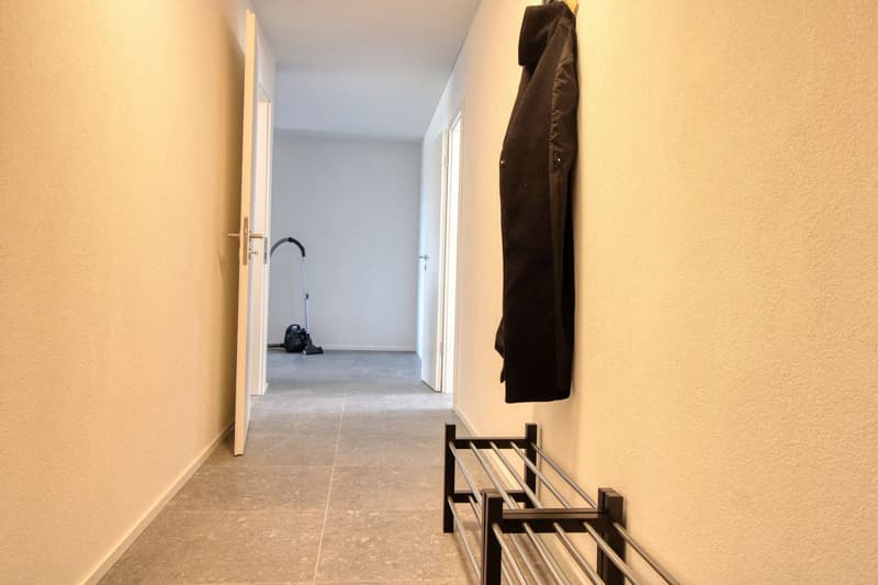 Bright & Cozy Single Room in a Flat Share – Crissier (11)