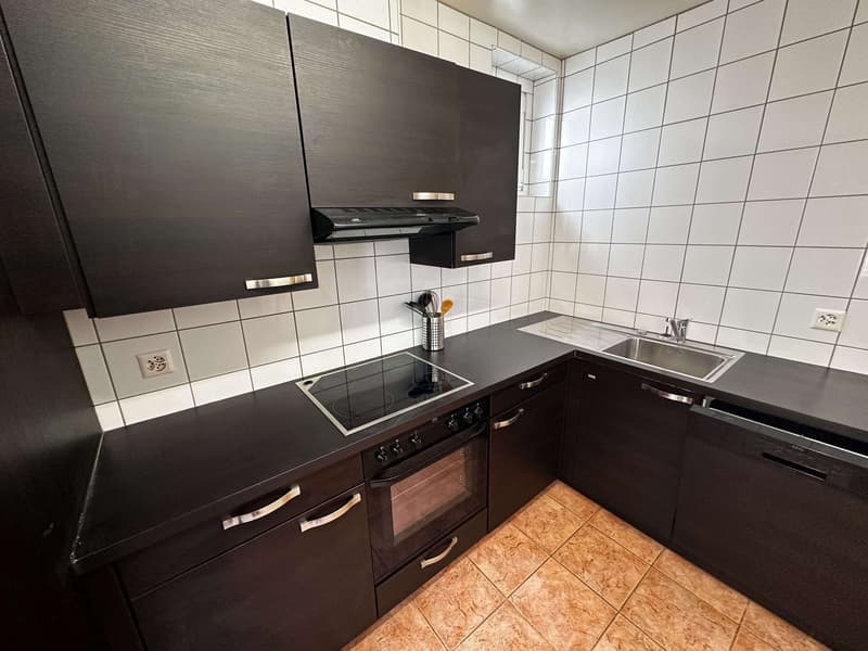Chambre meublée et lumineuse dans une colocation au cœur de Lausanne (11)