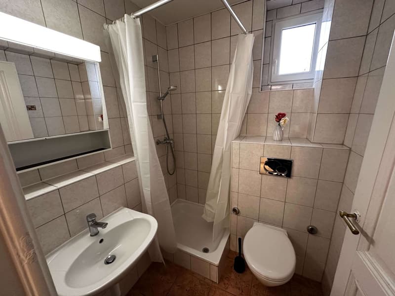 Chambre meublée et lumineuse dans une colocation au cœur de Lausanne (6)