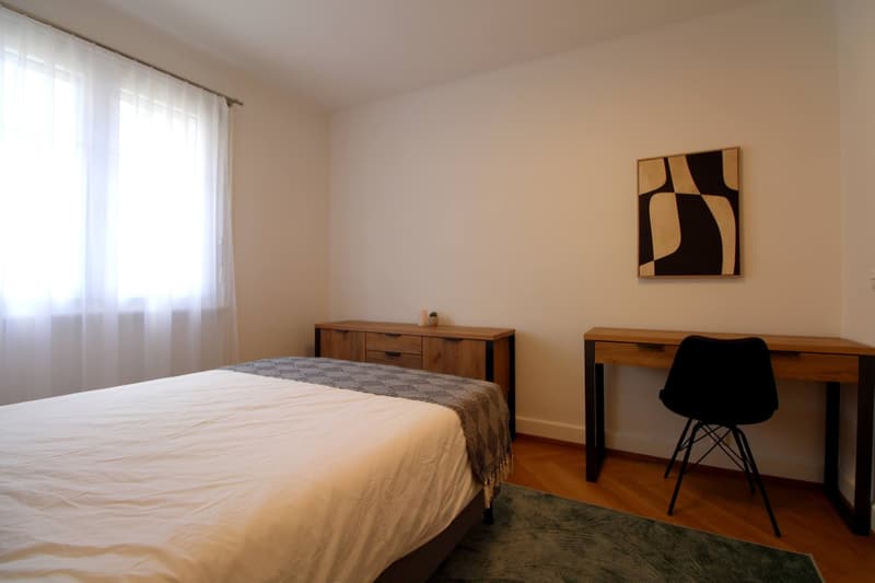 Coliving Moderne entre le Lac et la Ville à Lausanne (3)