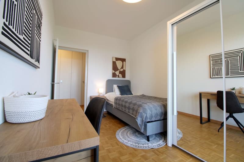 Coliving Spacieux au Cœur du Quartier International de Genève (6)