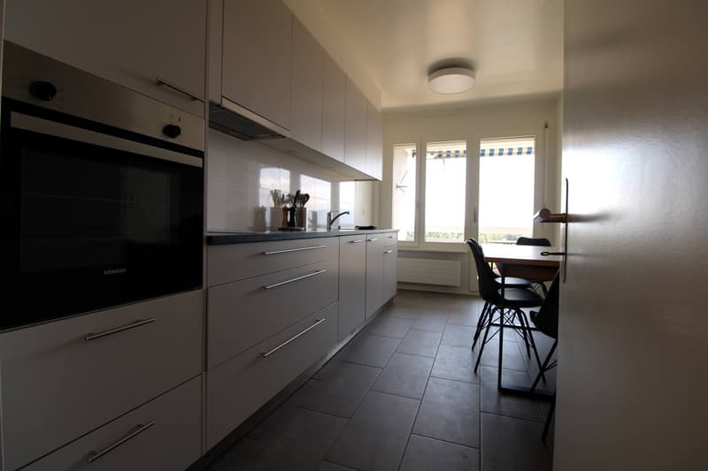 Coliving Spacieux au Cœur du Quartier International de Genève (8)