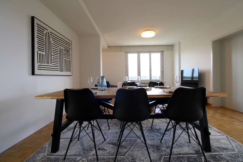 Coliving Spacieux au Cœur du Quartier International de Genève (18)