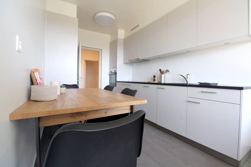 Coliving Spacieux au Cœur du Quartier International de Genève (11)