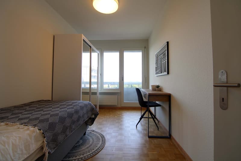 Coliving Spacieux au Cœur du Quartier International de Genève (5)
