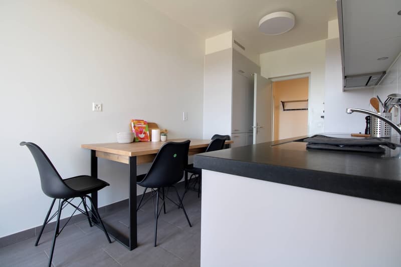 Coliving Spacieux au Cœur du Quartier International de Genève (13)