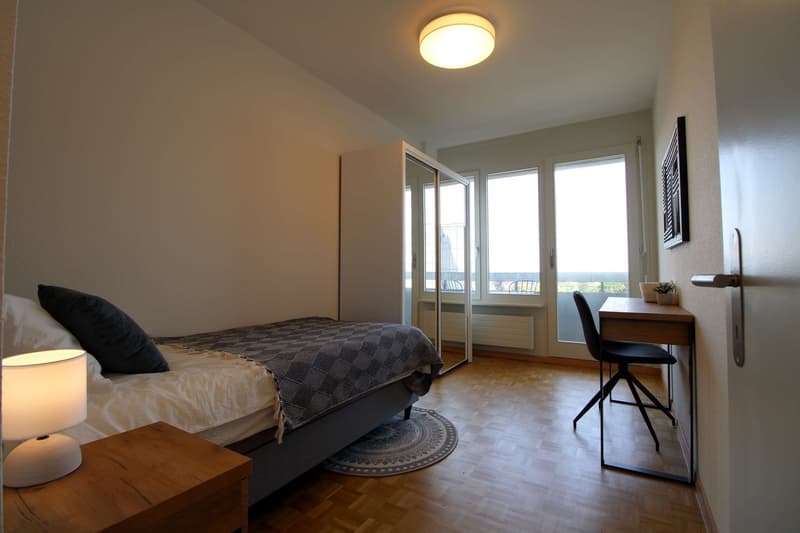 Coliving Spacieux au Cœur du Quartier International de Genève (1)