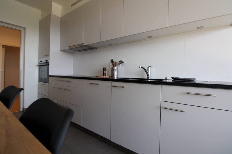 Coliving Spacieux au Cœur du Quartier International de Genève (12)