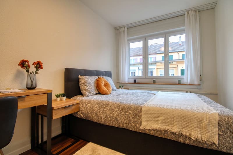 Komfortables Coliving im Zürcher Stadtteil Aussersihl (5)