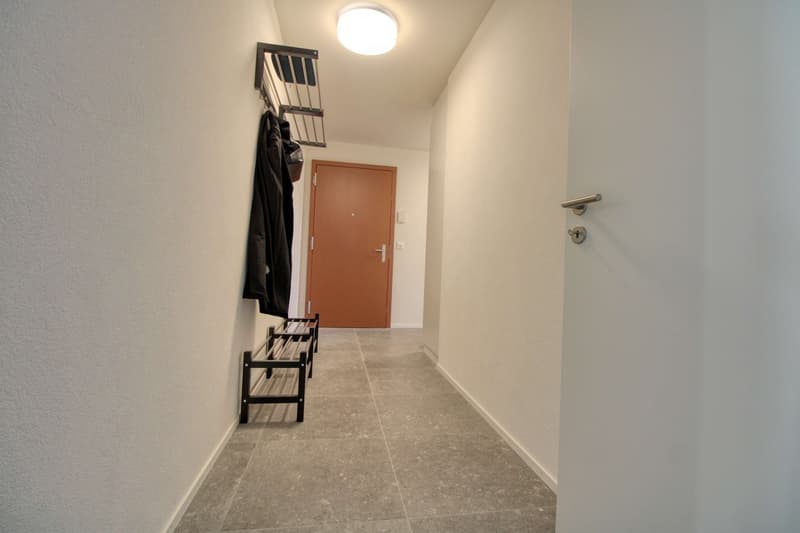 Appartement vivant spacieux à Crissier avec balcon privé (14)