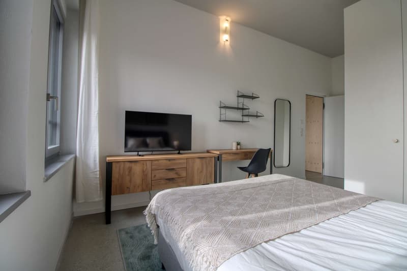 Coliving Moderne Alliant Intimité, Travail et Vie Partagée à Renens (10)