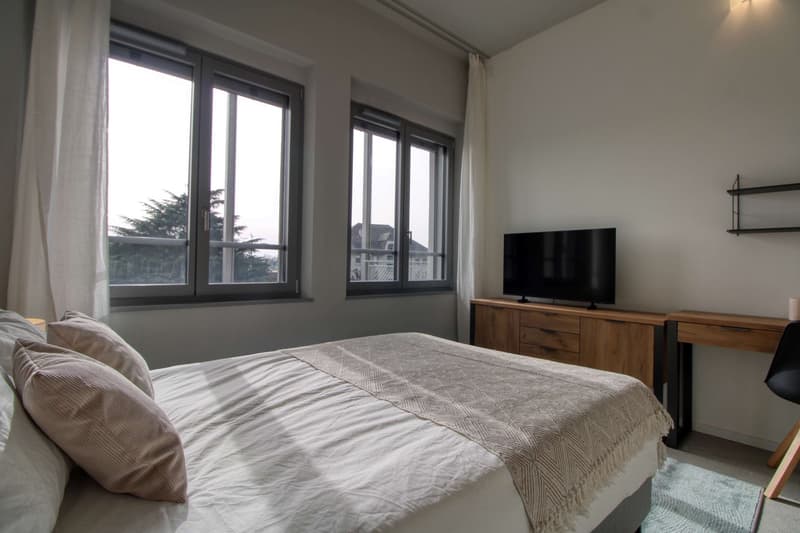 Coliving Moderne Alliant Intimité, Travail et Vie Partagée à Renens (13)