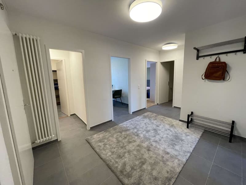 Vue dégagée au centre de Lausanne (16)