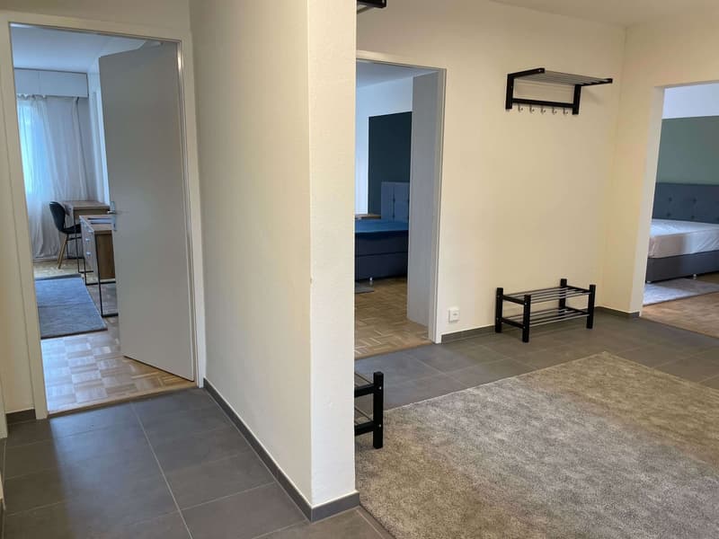 Vue dégagée au centre de Lausanne (19)